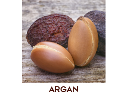 Olio di Argan