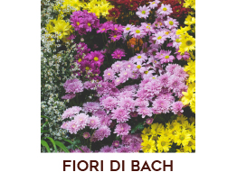 Estratto di Fiori di Bach