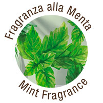 Fragranza Menta