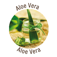 Vera Aloe