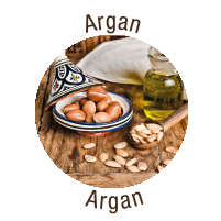 Estratto Olio Argan