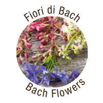 Estratto Fiori di Bach